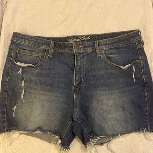 Distressed Jean Shorts.